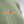 Mad for Coffee Crewneck Sweatshirt Olive